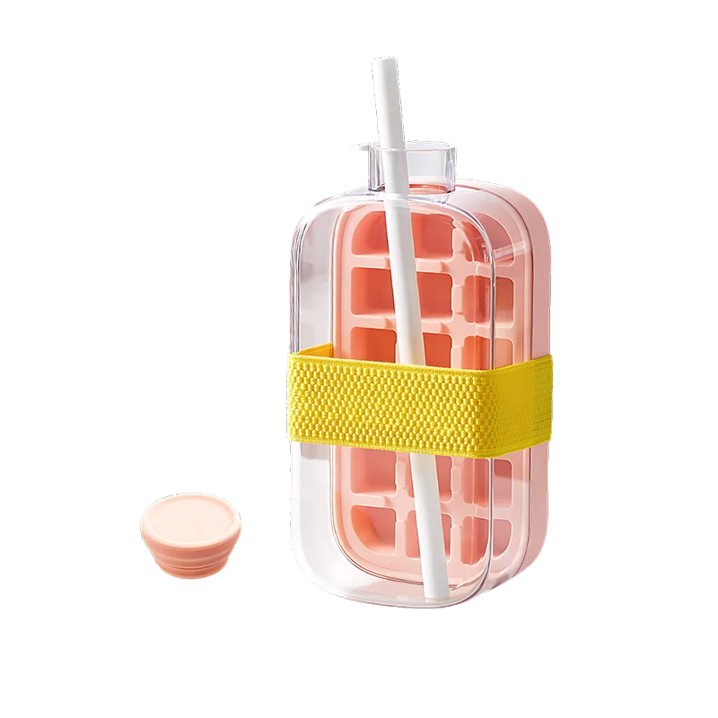 Portable Ice Cube Bottle